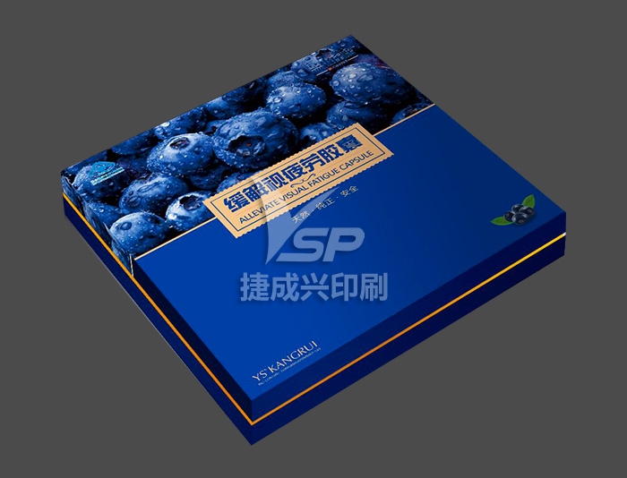說明書印刷案例