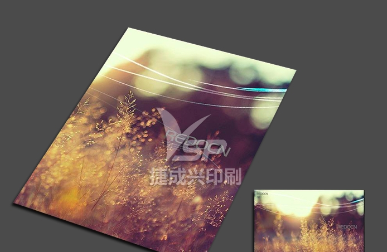 畫(huà)冊(cè)印刷中的封面可以幫助企業(yè)塑造良好形象